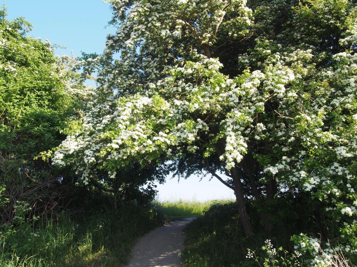 Emilias Hues, Reethaus In Der Bucht Von Wismar Zierow Esterno foto