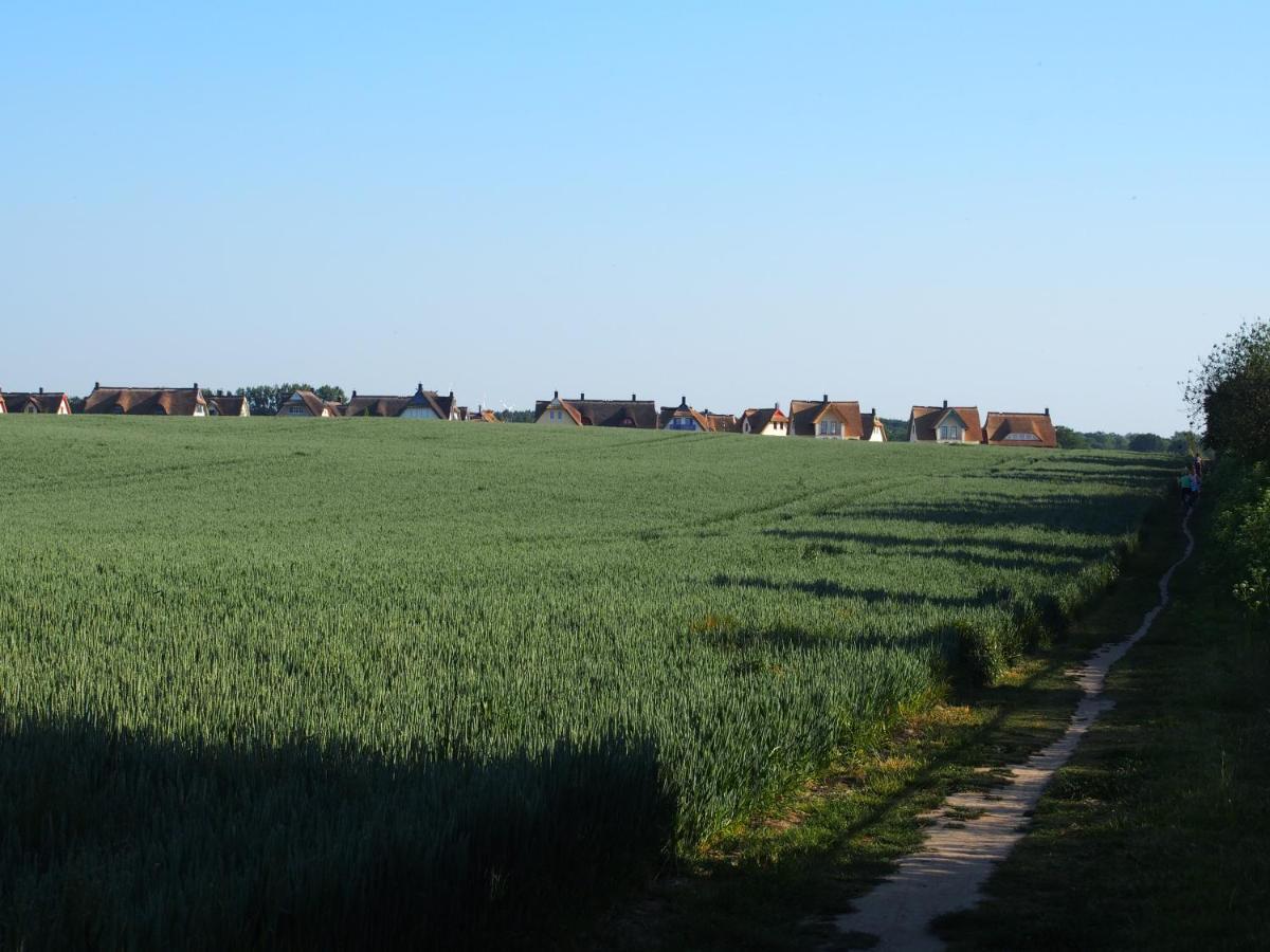 Emilias Hues, Reethaus In Der Bucht Von Wismar Zierow Esterno foto