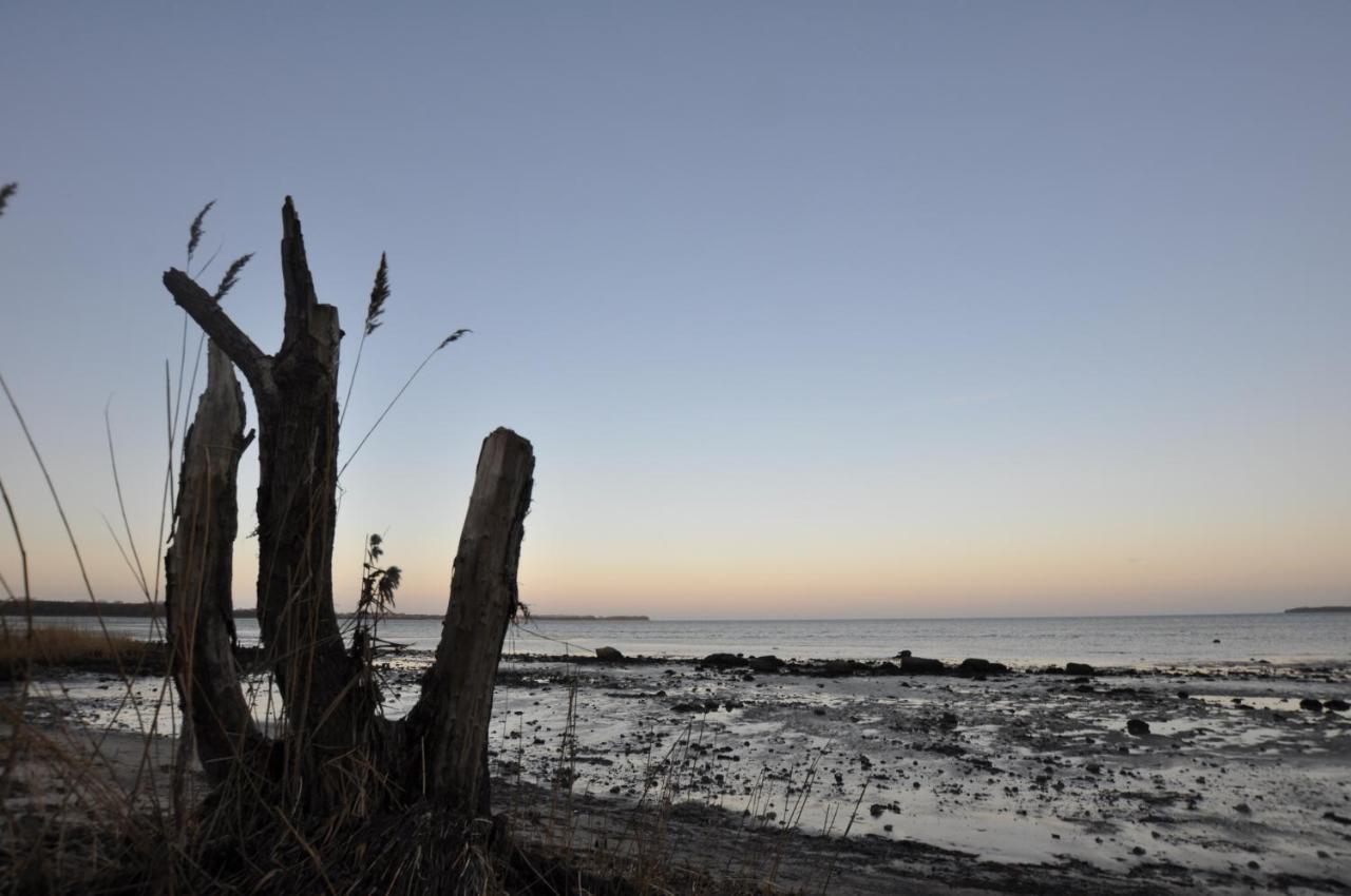 Emilias Hues, Reethaus In Der Bucht Von Wismar Zierow Esterno foto