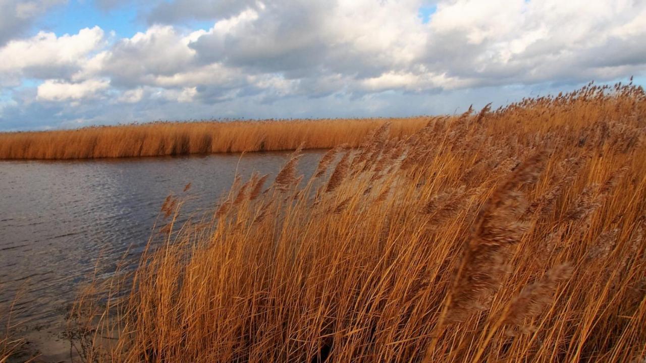 Emilias Hues, Reethaus In Der Bucht Von Wismar Zierow Esterno foto